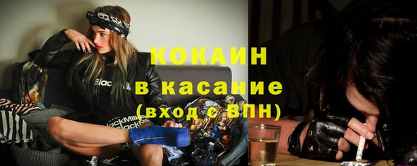 трава Магас