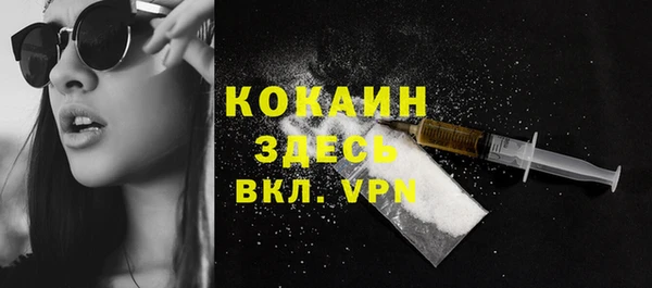 дживик Белокуриха