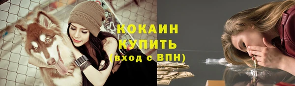 дживик Белокуриха