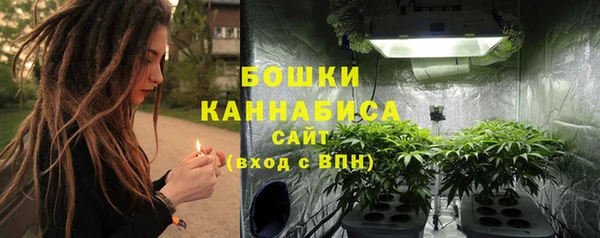 дживик Белокуриха