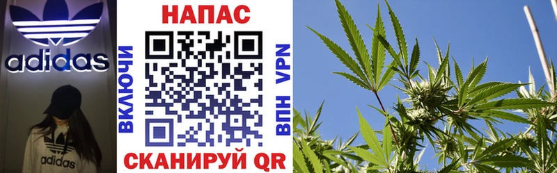 купить наркоту Болотное Марихуана тримм
